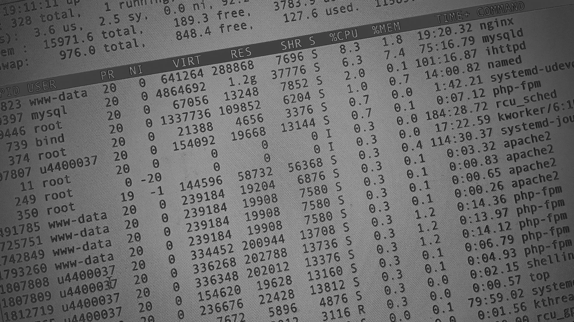 Настройка сервера в Мурманске